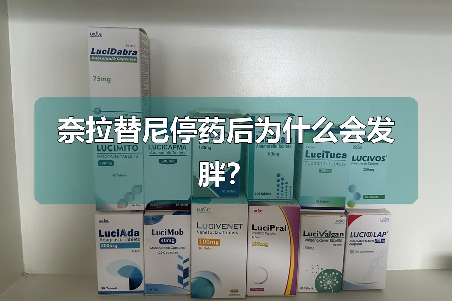 奈拉替尼停药后为什么会发胖?